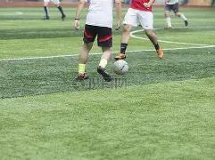 荷兰联赛激,战正酣,肯尼五连胜,万博manbetx体育平台,万博体育官网,万博体育app下载,ManBetX,SPORTS